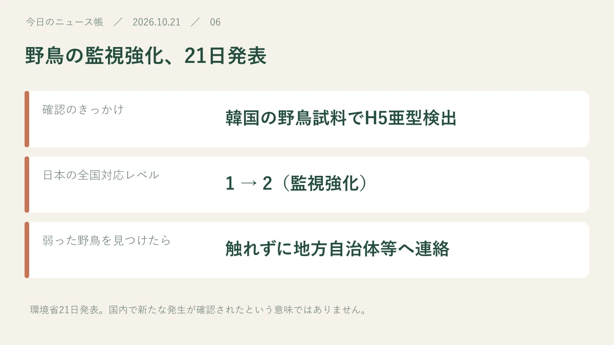 確認のきっかけ:韓国の野鳥試料でH5亜型検出。日本の全国対応レベル:1 → 2(監視強化)。弱った野鳥を見つけたら:触れずに地方自治体等へ連絡
