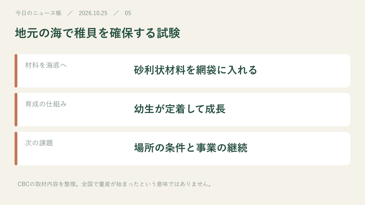 材料を海底へ:砂利状材料を網袋に入れる。育成の仕組み:幼生が定着して成長。次の課題:場所の条件と事業の継続